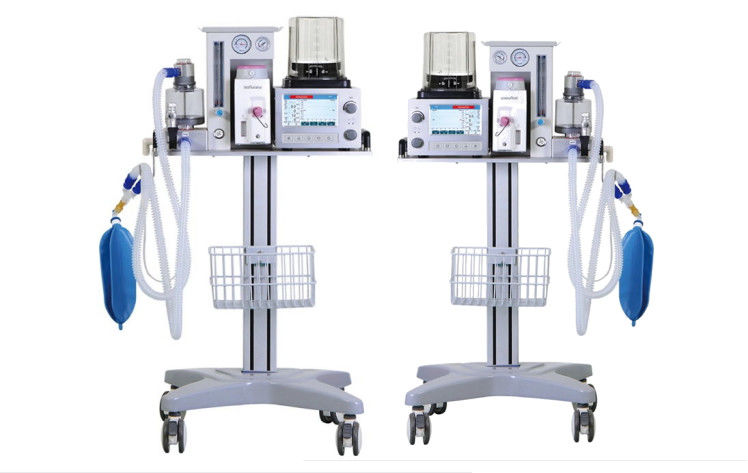 DM6B Veteriner Anestezi Ventilatör Sistemi AC 100-240V 7 İnç Renkli LCD Ekran